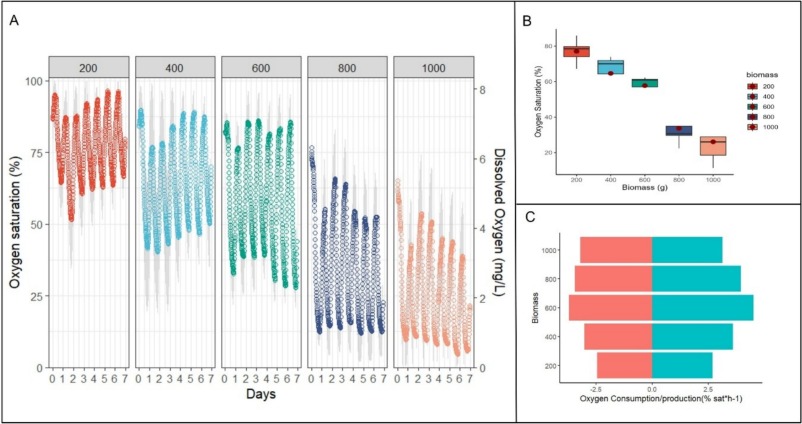Generating ecologically relevant oxygen fluctuations using marine primary producers under laboratory conditions